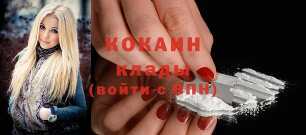 СК Осинники