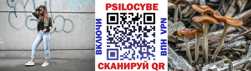 MEGA зеркало  Зерноград  Псилоцибиновые грибы Psilocybine cubensis  магазин   
